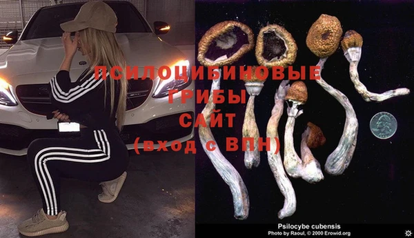 каннабис Нефтегорск