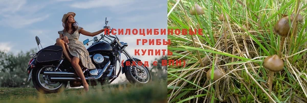 МДМА Нефтекумск