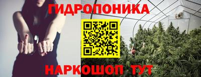 apvp Гагарин
