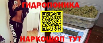 apvp Гагарин