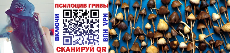 Галлюциногенные грибы Psilocybe  Нягань 