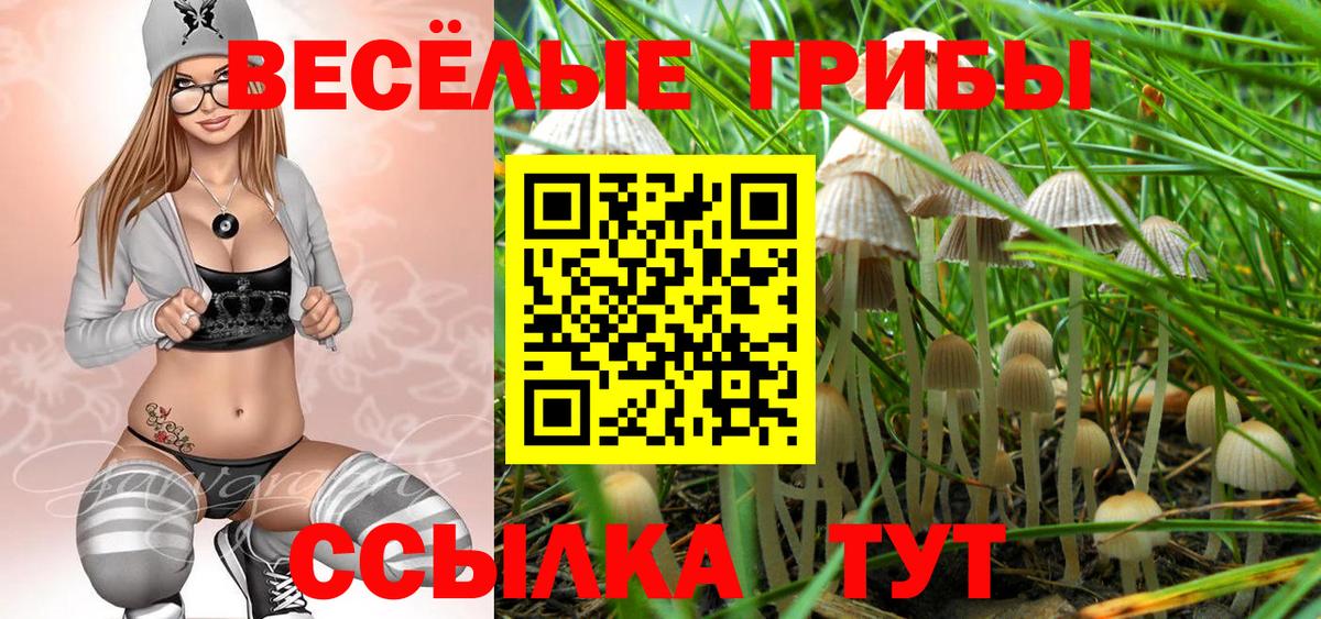 Галлюциногенные грибы Cubensis  Вход с VPN  Нягань  Галлюциногенные грибы Cubensis 
