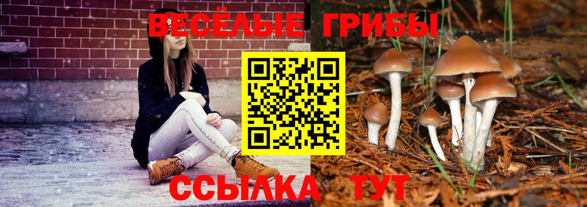 Псилоцибиновые грибы мицелий Нягань